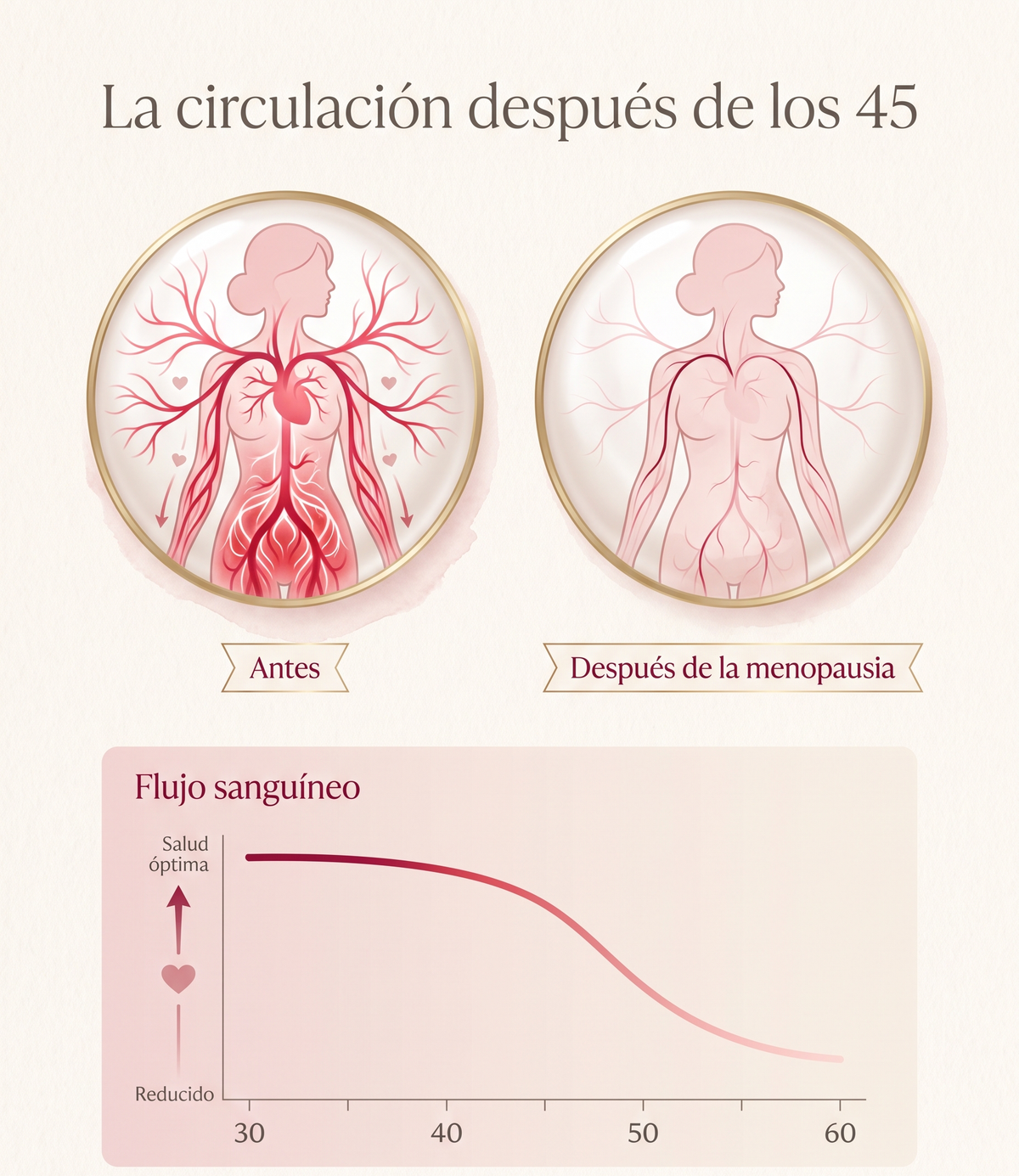 La circulación después de los 45